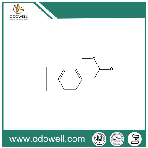 Metyl-P-terc-butylfenylacetát