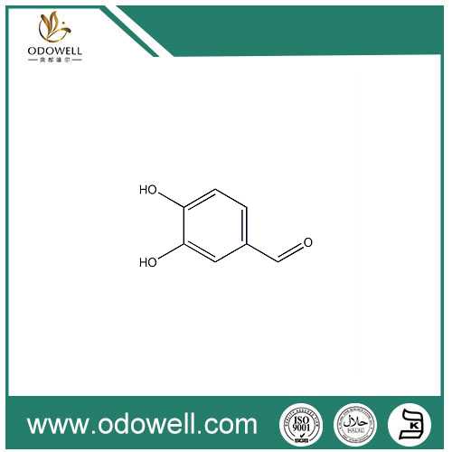 3,4-dihydroxybenzaldehyd