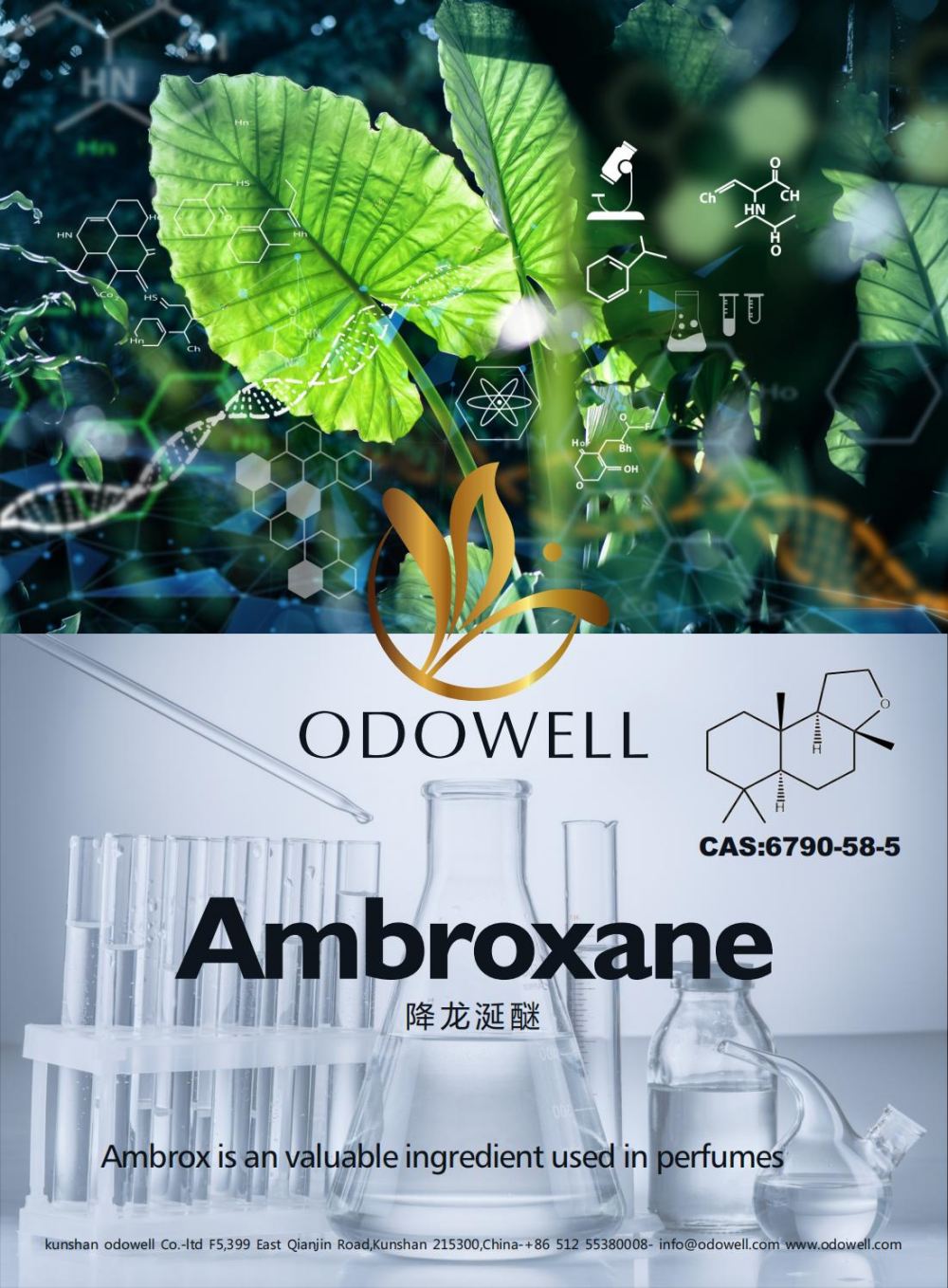 Odowell oslavuje úspešný rok pre Ambroxane (Ambrox)