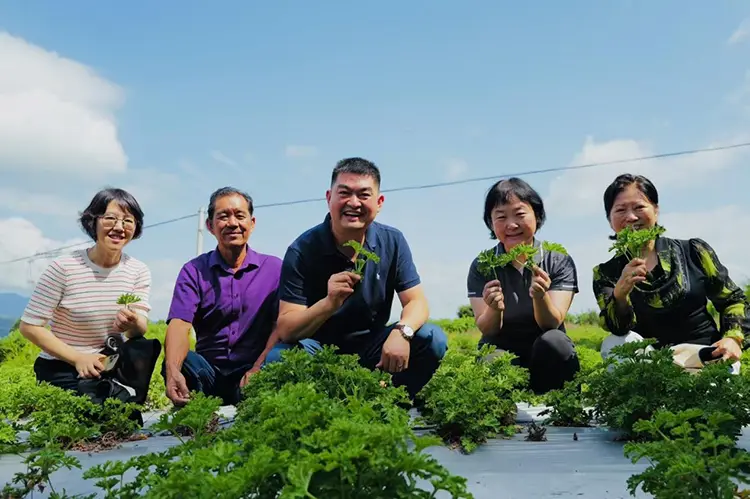 Odwell's Yunnan Research and Study Tour v auguste 2025