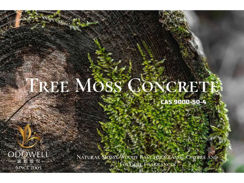 Tree Moss Concrete – prírodný machovo-drevitý základ ODOWELL pre klasické chypre a fougère vône