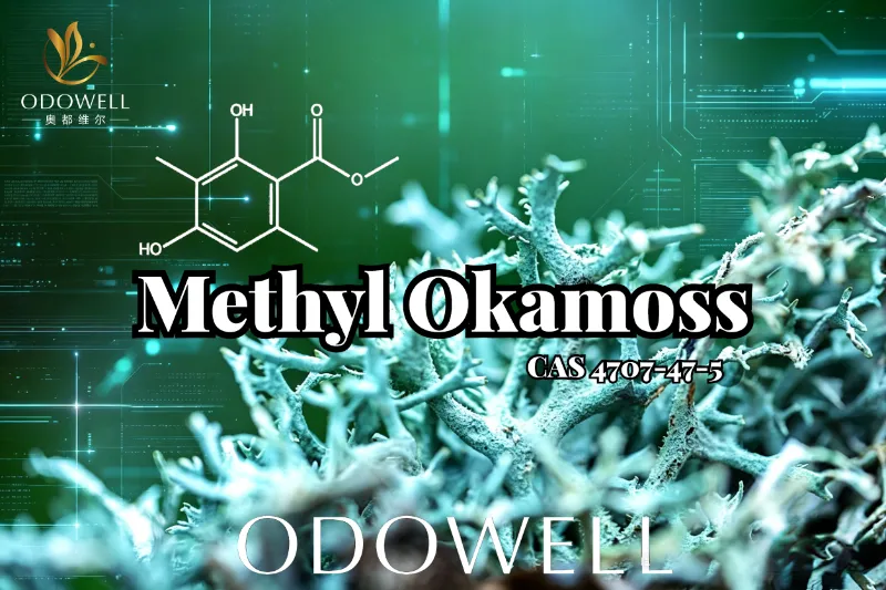 ​ODOWELL predstavuje Metyl Okamoss: Autentický syntetický Oakmoss pre majstrovstvo Chypre a Fougère