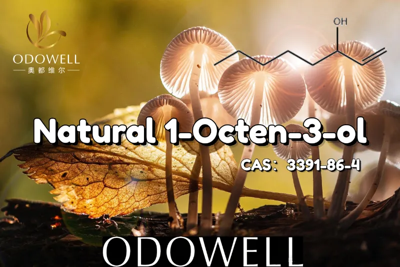 ​ODOWELL odporúča prírodný 1-okten-3-ol pre aplikácie s hubovou a zemitou príchuťou