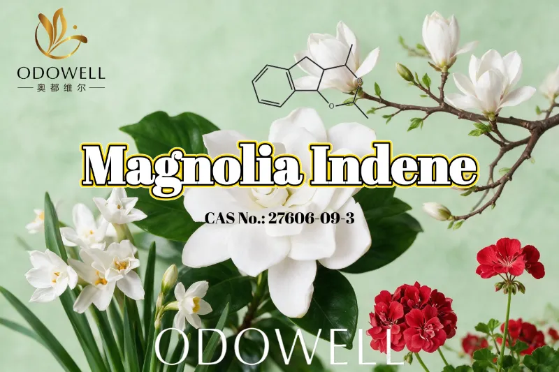 ODOWELL odporúča Magnolia Indene pre aplikácie sviežej kvetinovo-zelenej a citrusovej vône